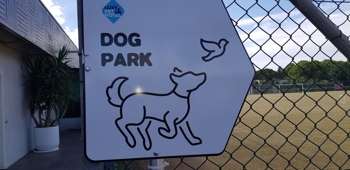 imagini hotel NIRVANA LARA